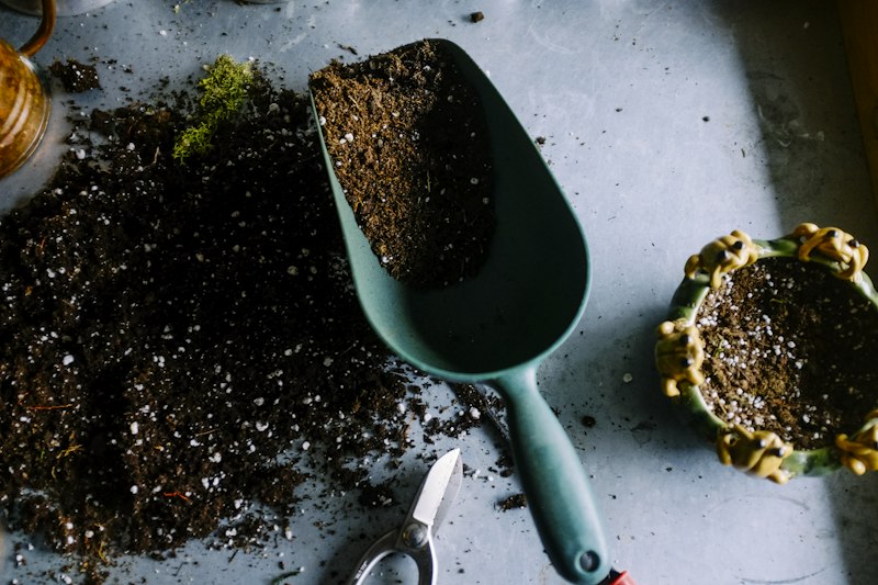Planting calendar